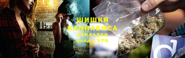 шишки Алзамай