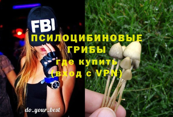 дживик Абинск