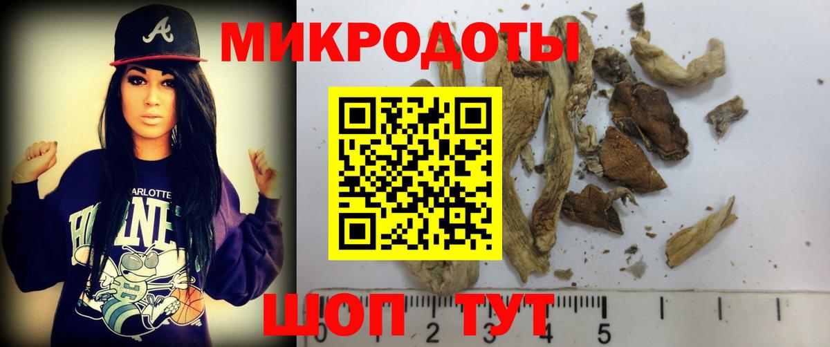 Галлюциногенные грибы Cubensis  Вход с VPN  Камень-на-Оби 